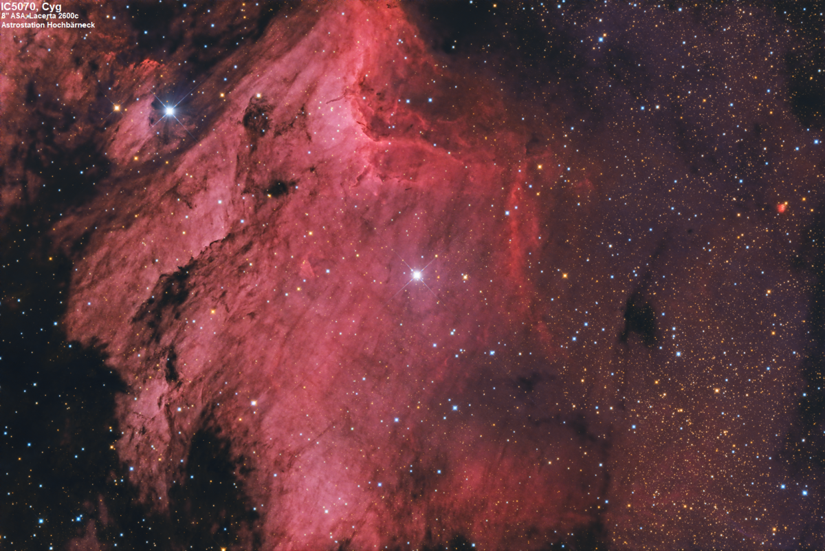 Pelikannebel im Sternbild Schwan