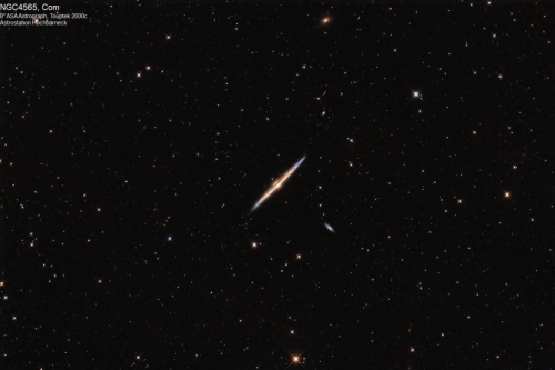 NGC 4565, Com