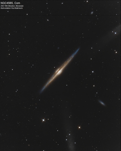 NGC 4565, Com