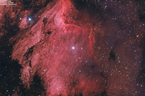 Pelikannebel im Sternbild Schwan