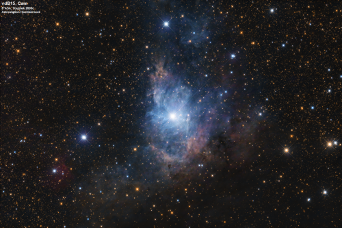 vdB15 im Sternbild Giraffe