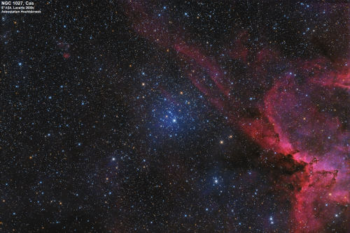 NGC1027 im Sternbild Cassiopeia