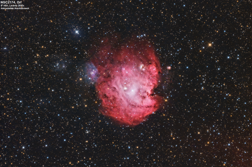 NGC2174, der Affenkopfnebel im Sternbild Orion