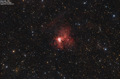 Emissionsnebel Sh2-206 im Sternbild Perseus
