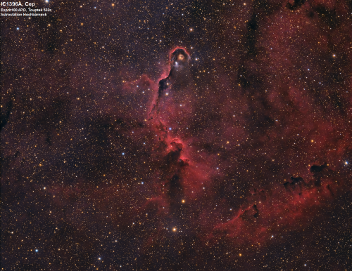IC1396A im Cepheus