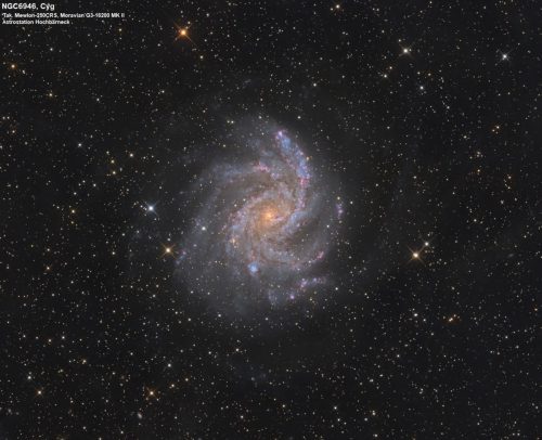 NGC6946 die Feuerwerksgalaxie im Sternbild Kepheus an der Grenze zum Sternbild Schwan