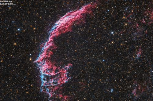 NGC6992 u. NGC6995 der östliche Cirrusnebel im Schwan