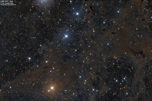 LDN1037, Dunkelwolken im Sternbild Kepheus