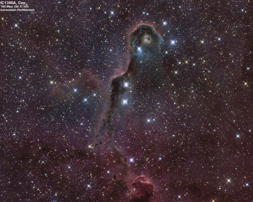 IC1396A im Sternbild Cepheus